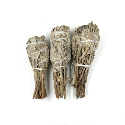 Белый шалфей - Факел 35-50 гр.