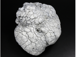 Кахолонг (Опал), желвак цельный, Оренбургская обл. (82*72*67 мм, 395 г) №29458