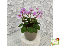 Frosted Fantasy (C.Sotkiewicz) трейлер (детка)