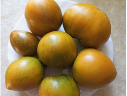 Томат Гном  Сияние  Вавилона (Babylon's Glow Dwarf)