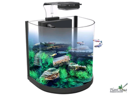 Аквариум Atman BGT-30 черный, 16 литров (304х230х290 мм)