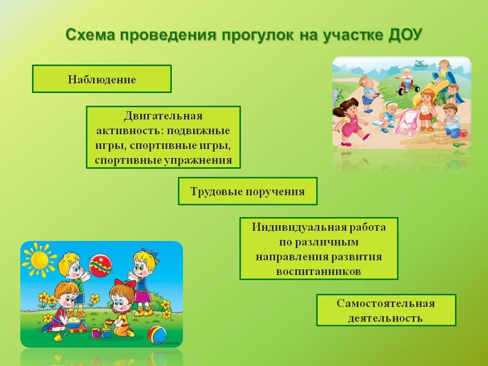 Правила деятельности дошкольных организаций