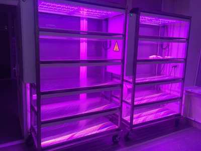 LED 5sheif-fitocontrol