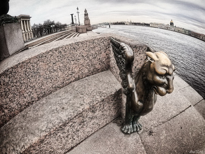 свадебный квест