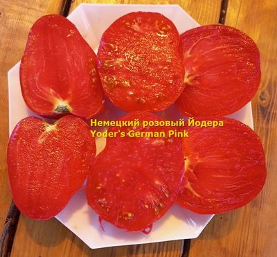 Томат немецкий розовый Йодера (Yoder's German Pink)