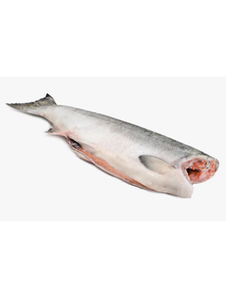 КИЖУЧ потрошеный без головы. Сухой заморозки.