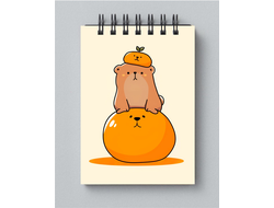 Блокнот Капибара, Kapibara-san №22