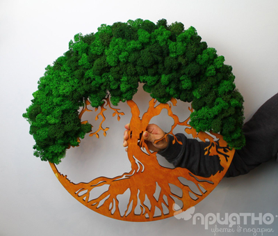 Живая Эко-Картина 1072