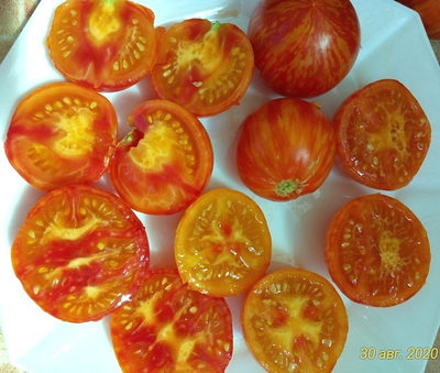 Томат Королева красоты (Beauty Queen)