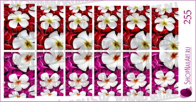 Слайдер-дизайн 255