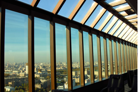 Зимние сады