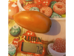 Томат Бронза (Bronza)