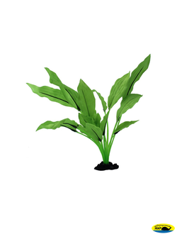 81002-30 Растение шелк. Эхинодорус Селовиантус 30см.