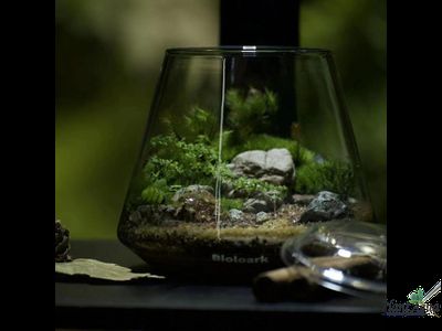 Чаша Пузырь Biolark Two (120мм х 105мм)