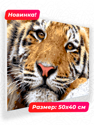 Картина по номерам 40х50 Mozartismile N 00197 Амурский тигр