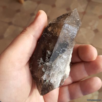 Двухголовый кристалл дымчатого Кварца с хлоритом 105*65*40мм ААА