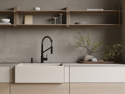 Смеситель OMOIKIRI MIKAWA 2 PLUS-SB BN