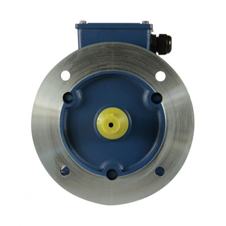 Электродвигатель 5АИ 71B4 (0,75 кВт) IM 2081