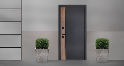 Стальная дверь   Elba. Заказная модель.