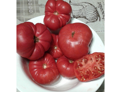 Семена томата Укус змеи, Гном