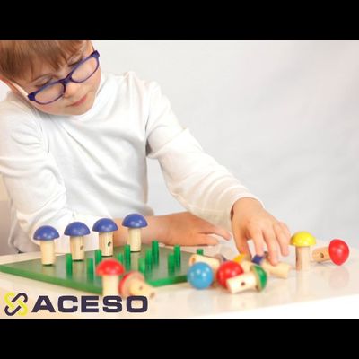 Знакомство с цветом. Набор для сенсорного развития детей СЕНСОРИКА