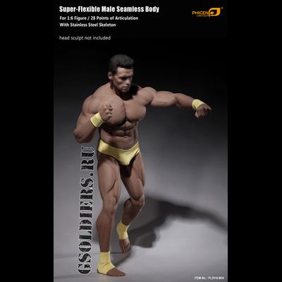 Супер-подвижное бесшовное мужское тело (телоид) PL2016-M34 1/6 Super flexible Male Seamless Body - PHICEN