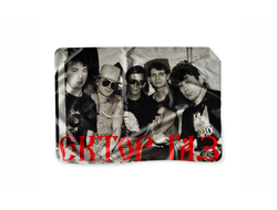 Плед Сектор Газа, Юрий Хой №10