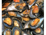 Мидии на створках 1 кг