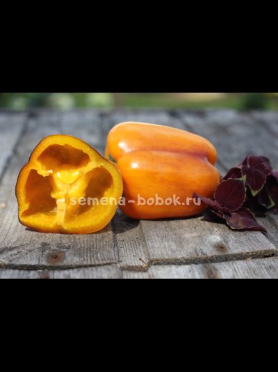 Перец сладкий Млечный путь, 10 шт.