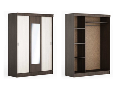 Шкаф купе "Бася" (БР)