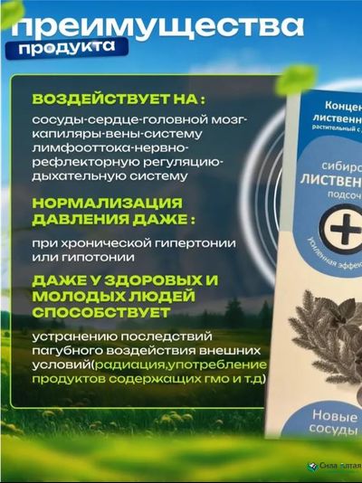 Сибирская лиственница подсочка+, новые сосуды