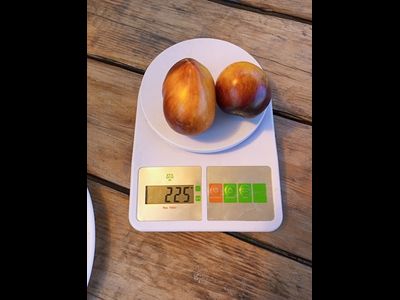 Томат Сладкая карамель Софии