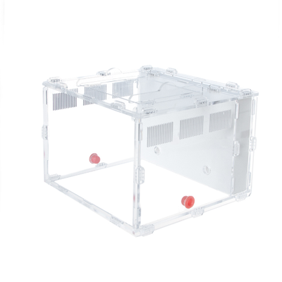 Гипсовый формикарий 4ants Белый Дом 3.0 White