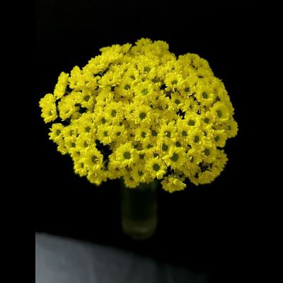 Сантини 25 шт