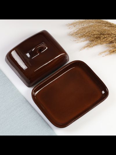 Масленка коричневая