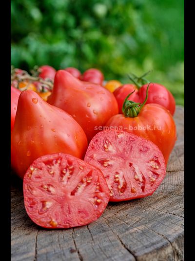 Томат Кызыл Тау, 10 шт