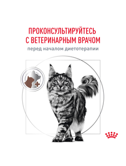 Royal Canin (Роял Канин)  Gastrointestinal Влажный корм (пауч) для взрослых кошек при расстройствах пищеварения, кусочки в соусе, 85 г