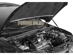 Амортизаторы капота, 2 шт. АвтоУпор для Lada Granta I 2011-2018