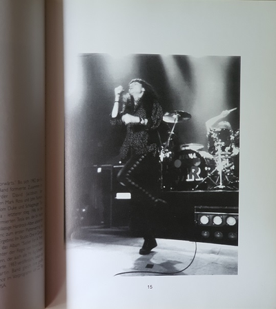 Mr Big Jens Schmiedeberg Book, Иностранные книги в Москве, Intpressshop