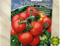 Томат "Безрассадный" (штамбовый, для улицы)