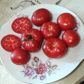 Семена томата Пьеретт