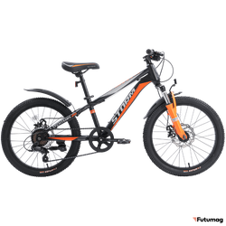 Велосипед TechTeam Storm 20