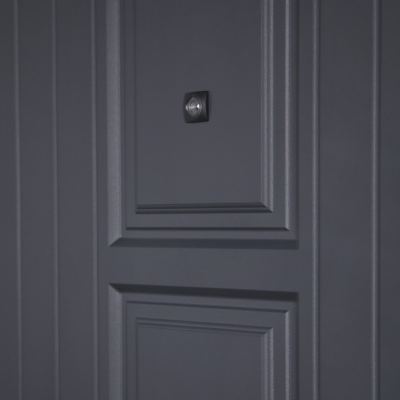 Стальная дверь   Спектра. Заказная модель.