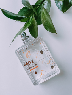 Escentric Molecules Molecule 02