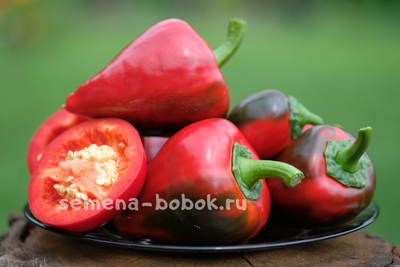 Перец  сладкий Леся, 10 шт