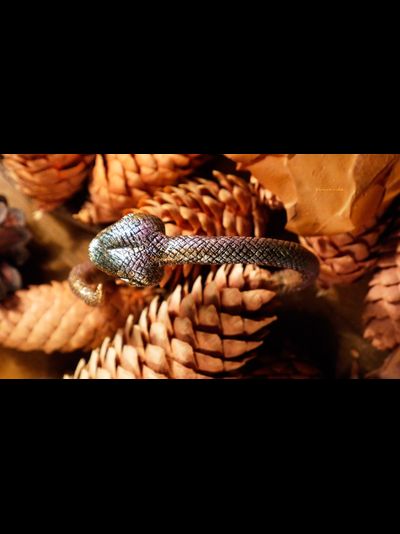 Волшебный браслет &quot;Золотая Радужная Змейка&quot;