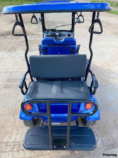 Гольфкар GreenCamel A42 52Ah (4+2 2500W 225/40-10' литые)