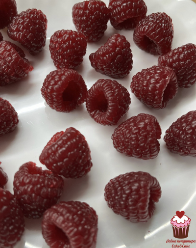 Молд Малина реалистичная, 6 шт.