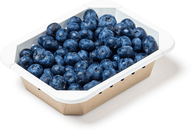 Салатник OCTOBOX 500 мл