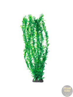 Растение "Людвигия" зеленая, 500мм, Laguna